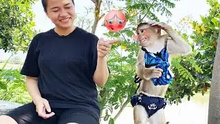 Monkey LyLy was embarrassed and didn't want to go home because her mother teased her