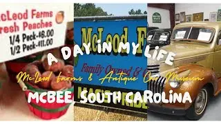 McLeod Farms & Antique Car Museum and More !