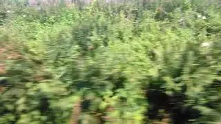 Merseyrail Northern Line: Ormskirk to Maghull North | Part 2