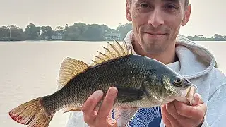 FISHING FOR BIG WHITE PERCH WITH BIG BAITS! REDICULOUS RED 🔥 BITE!