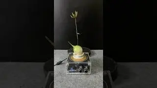 MUSIC TESLA COIL EXPERIMENT 🧪 #teslacoil #experiment #shorts