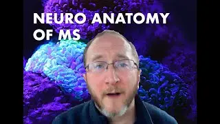 Multiple Sclerosis Vlog: Central Nervous System Anatomy Lecture