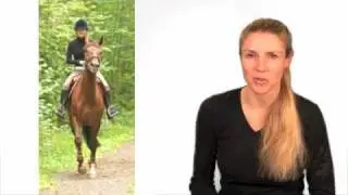 Overkruist galopperen - Kruisgalop