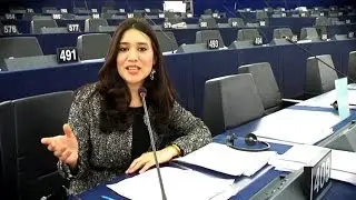 The ins and outs of the Strasbourg plenary