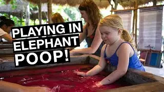 MAKING PAPER OUT OF POOP! | Poo Poo Paper Factory Chiang Mai Thailand