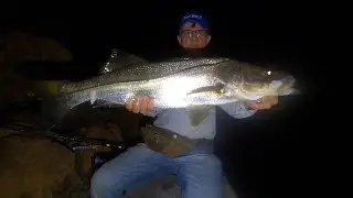 Snook at the bridge on artificial ... Secret bait...