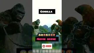 GORILLA FIGHTING BEST MOVIE BOLLYWOOD #movie #bollywood #bollywoodmovies #shortsmovie #viralmovie