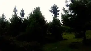Naran tour beautiful seri paya view