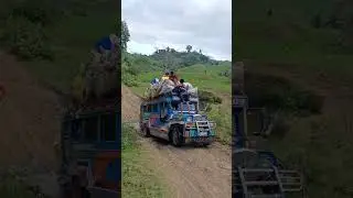 Cross the river before reaching the market   #shorts #shortvideo