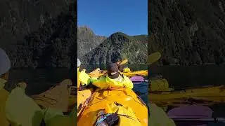 Kayaking in Milford Sound, New Zealand