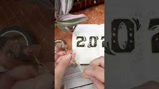 2024 bullet journal setup