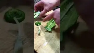 C&oacute;mo cortar el pimiento verde italiano by @jordi_rifa