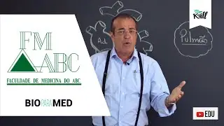Sistema Cardiovascular  | BioparaMed