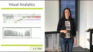Visual Analytics at VRVis