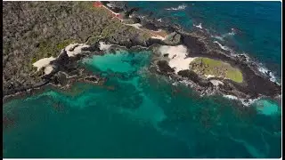 Jocotoco Is Turning Marine Protection Into Action | Bezos Earth Fund