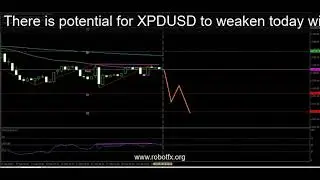 There is potential for XPDUSD to weaken today with the appearance of a Hidden Bearish Dive