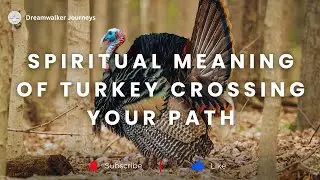 Spiritual Meaning of Turkey Crossing Your Path | Turkey Spiritual Meaning