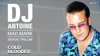 DJ Antoine, Mad Mark, Sergio Trillini - Cold Blooded (Official Audio)