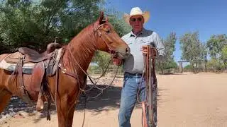 Big Ring Martingale - The Al Dunning Collection by Schutz Brothers