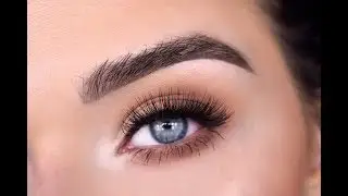 EASY BACK TO SCHOOL EYESHADOW TUTORIAL | ABH Soft Glam