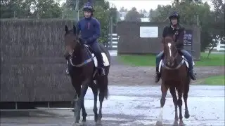 Magnus x Babieta owner report - 10th May