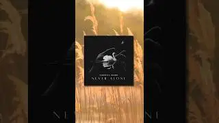 Never Alone from VeroniKa Grand #Instrumental #piano #violin #hope #peaceful