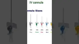 Different IV cannula sizes and parts @ nursing skills