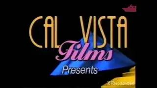 VHS Companies from the 80's #1721 MERTO HOME VIDEO