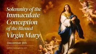 DECEMBER 8th. Immaculate Conception of the Blessed Virgin Mary. OUR LADY CO-REDEMPTRIX, PRAY FOR US!