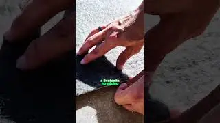 Como funciona o GCL?