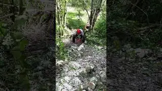 CHAPPS ON & CHAINSAW OUT! #summer #storm #cleanup #firewood #asmr