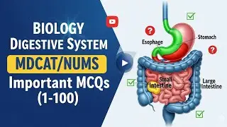 Digestive system | important mcqs (MDCAT/NUMS) #nums_mdcat #biologymcqs #mdcatbiology #mdcat 