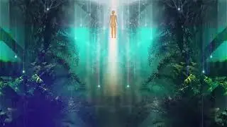 Zephirus Kane - Synchronicity (Original)