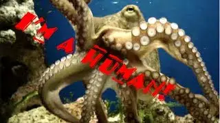 Octodad: Dadliest Catch Funny Moments Part 1