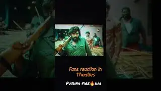 pushpa hindi theater fans