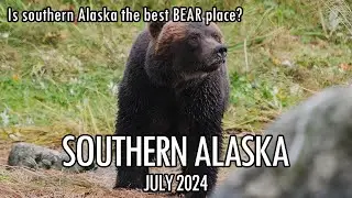 Alaska Road Trip 1: Southern Alaska Adventure – Glaciers, Wildlife, and Epic Hikes
