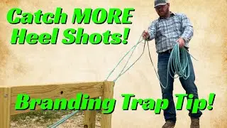 Tips For Heeling with a Poly Ranch Rope | Roping in the Branding Trap