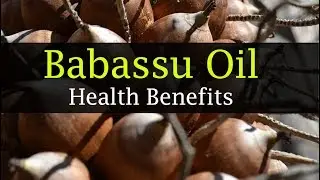 Babassu Oil Benefits - Natural Hairs, Babassu Oil vs Coconut Oil