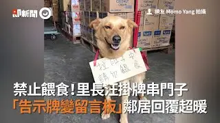 里長汪掛「禁止餵食」告示牌串門子！鄰居留言：收到｜寵物動物｜米克斯｜精華影片