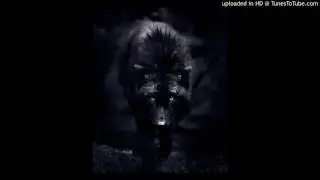 WOLF  Genovese - COLD STATE