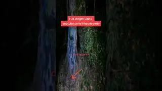 Dark entity response at the Devils Tree in New Jersey #haunted #paranormal #scary #demon