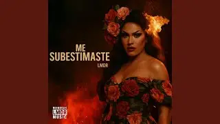 Me Subestimaste