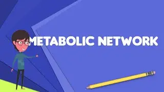 What is Metabolic network?, Explain Metabolic network, Define Metabolic network