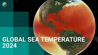 A year of ocean temperature - 2024