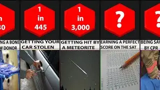 Probability Comparison | Odds of Random Things Happening To You P.1