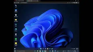 How to use windows11 without installing