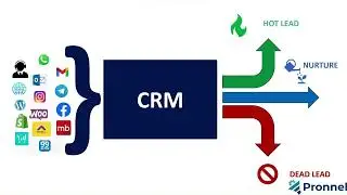 Automated Lead Scoring