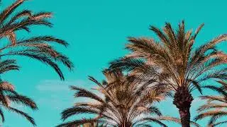 'Tropical Especial' Hip Hop Latin Hybrid Beat Instrumental [prod.FreQtik] 2022