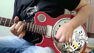 Jayturser resonator JT-RES Acoustic  Dobro