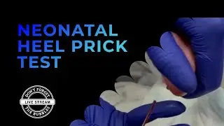 Neonatal heel prick test - blood capillary sampling